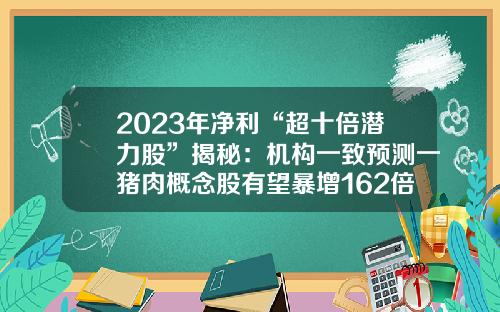 2023年净利“超十倍潜力股”揭秘：机构一致预测一猪肉概念股有望暴增162倍，多股市盈率不足15倍-超赢资讯题材股票