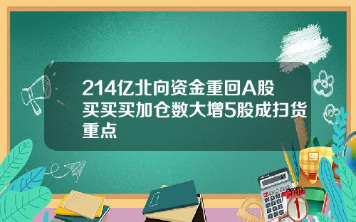 214亿北向资金重回A股买买买加仓数大增5股成扫货重点