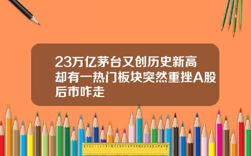 23万亿茅台又创历史新高却有一热门板块突然重挫A股后市咋走