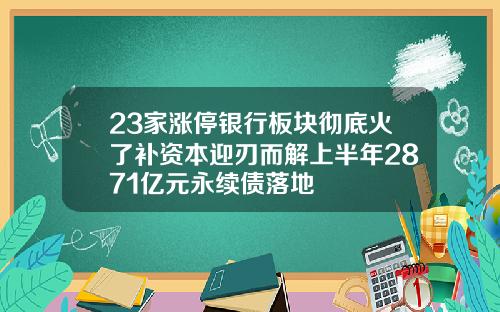 23家涨停银行板块彻底火了补资本迎刃而解上半年2871亿元永续债落地