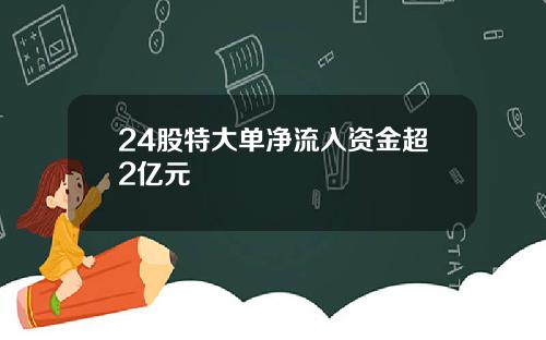 24股特大单净流入资金超2亿元