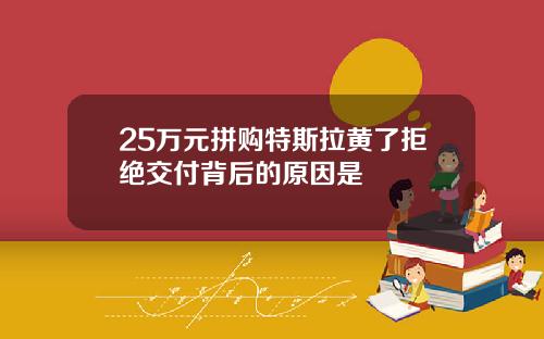 25万元拼购特斯拉黄了拒绝交付背后的原因是
