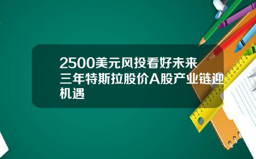 2500美元风投看好未来三年特斯拉股价A股产业链迎机遇
