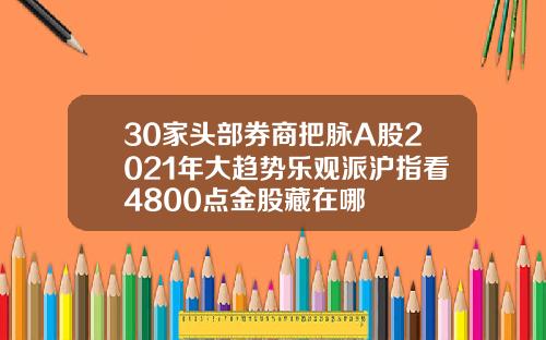 30家头部券商把脉A股2021年大趋势乐观派沪指看4800点金股藏在哪