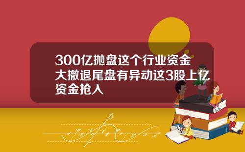 300亿抛盘这个行业资金大撤退尾盘有异动这3股上亿资金抢入