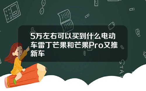 5万左右可以买到什么电动车雷丁芒果和芒果Pro又推新车