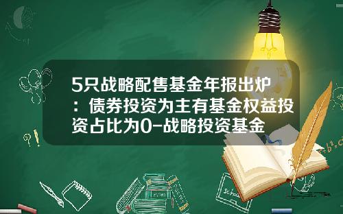 5只战略配售基金年报出炉：债券投资为主有基金权益投资占比为0-战略投资基金