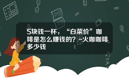 5块钱一杯，“白菜价”咖啡是怎么赚钱的？-火咖咖啡多少钱