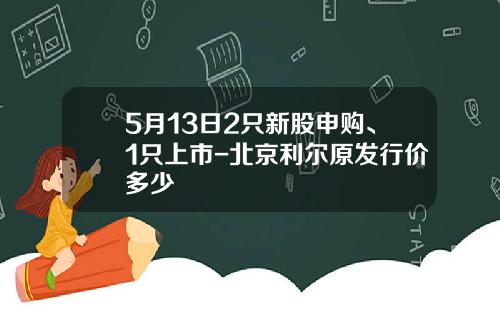 5月13日2只新股申购、1只上市-北京利尔原发行价多少