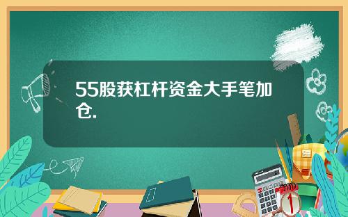 55股获杠杆资金大手笔加仓.