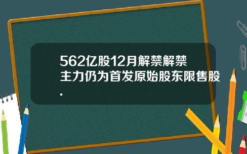 562亿股12月解禁解禁主力仍为首发原始股东限售股.