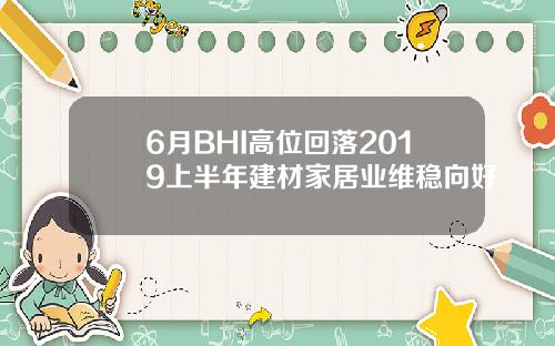 6月BHI高位回落2019上半年建材家居业维稳向好