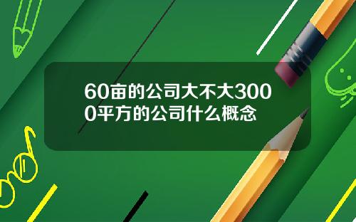 60亩的公司大不大3000平方的公司什么概念