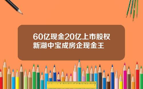 60亿现金20亿上市股权新湖中宝成房企现金王