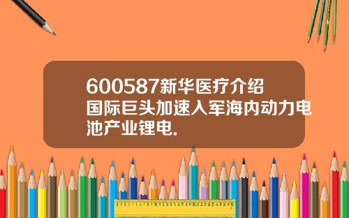 600587新华医疗介绍国际巨头加速入军海内动力电池产业锂电.