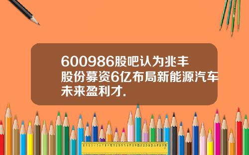 600986股吧认为兆丰股份募资6亿布局新能源汽车未来盈利才.