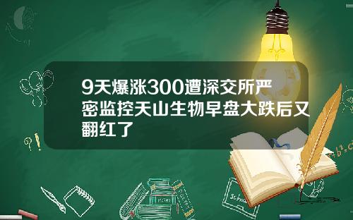 9天爆涨300遭深交所严密监控天山生物早盘大跌后又翻红了