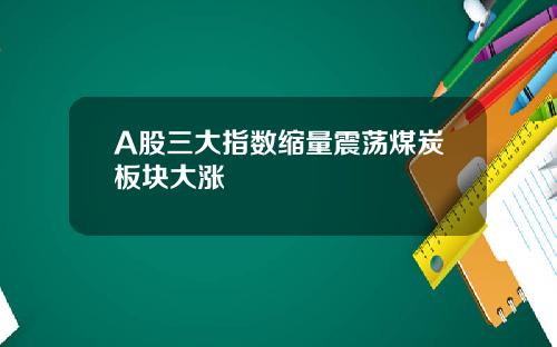 A股三大指数缩量震荡煤炭板块大涨
