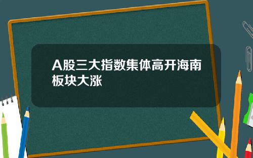 A股三大指数集体高开海南板块大涨