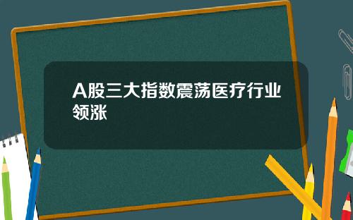 A股三大指数震荡医疗行业领涨
