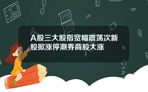 A股三大股指宽幅震荡次新股掀涨停潮券商股大涨