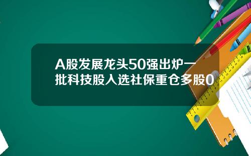 A股发展龙头50强出炉一批科技股入选社保重仓多股0