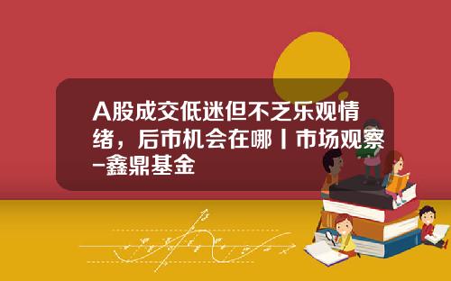 A股成交低迷但不乏乐观情绪，后市机会在哪丨市场观察-鑫鼎基金