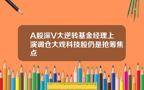 A股深V大逆转基金经理上演调仓大戏科技股仍是抢筹焦点