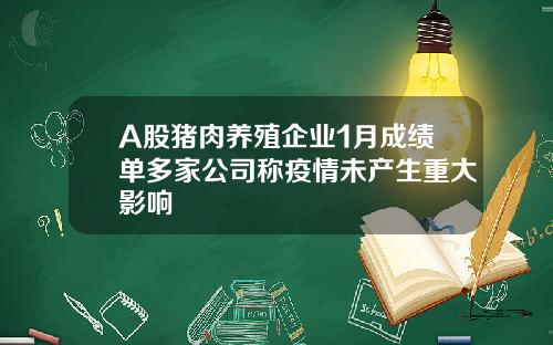A股猪肉养殖企业1月成绩单多家公司称疫情未产生重大影响 A股猪肉养殖企业1月成绩单多家公司称疫情未产生重大影响