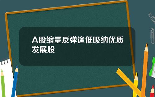 A股缩量反弹逢低吸纳优质发展股