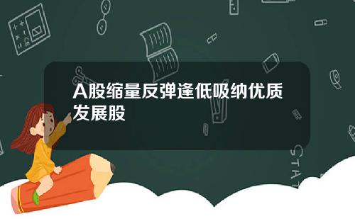 A股缩量反弹逢低吸纳优质发展股