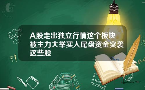 A股走出独立行情这个板块被主力大举买入尾盘资金突袭这些股