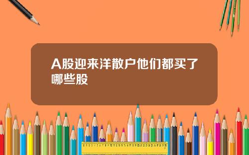 A股迎来洋散户他们都买了哪些股