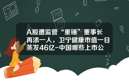 A股遭监管“重锤”董事长再添一人，卫宁健康市值一日蒸发46亿-中国哪些上市公司没有董事长