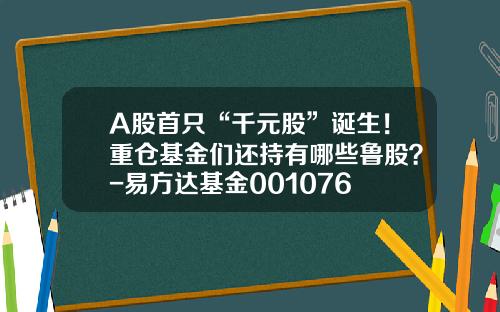 A股首只“千元股”诞生！重仓基金们还持有哪些鲁股？-易方达基金001076