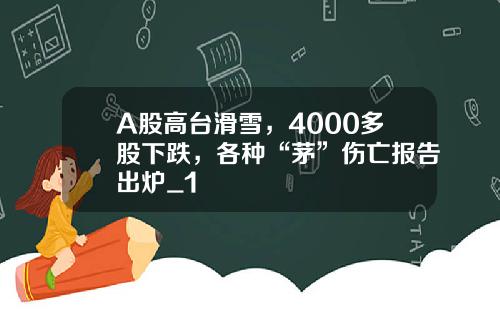 A股高台滑雪，4000多股下跌，各种“茅”伤亡报告出炉_1