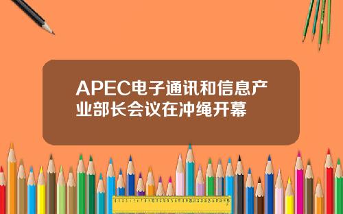 APEC电子通讯和信息产业部长会议在冲绳开幕