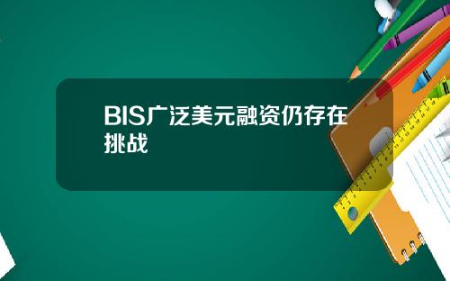 BIS广泛美元融资仍存在挑战