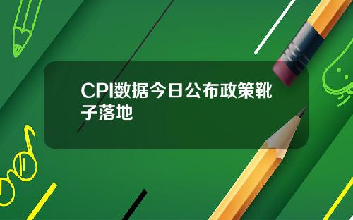 CPI数据今日公布政策靴子落地
