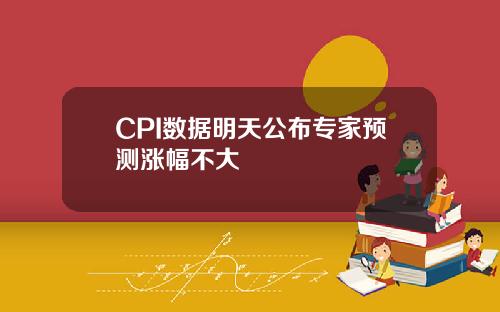 CPI数据明天公布专家预测涨幅不大