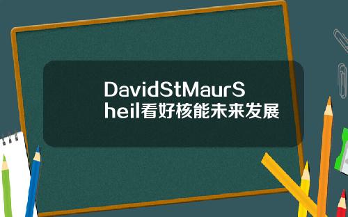 DavidStMaurSheil看好核能未来发展