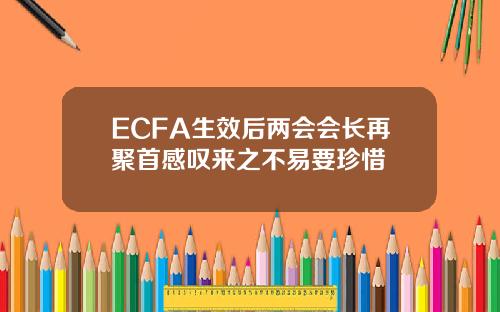 ECFA生效后两会会长再聚首感叹来之不易要珍惜