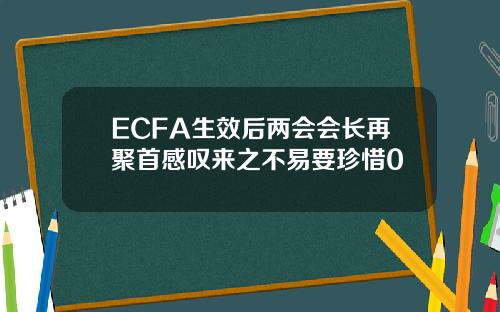 ECFA生效后两会会长再聚首感叹来之不易要珍惜0
