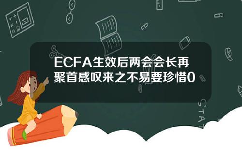ECFA生效后两会会长再聚首感叹来之不易要珍惜0