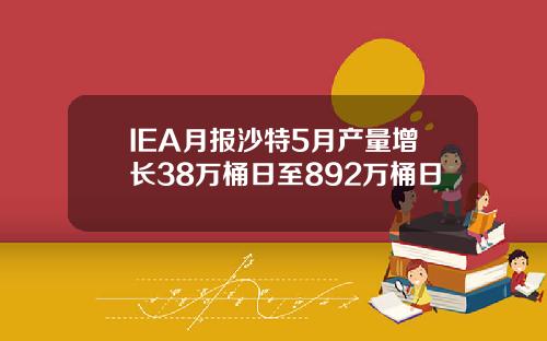IEA月报沙特5月产量增长38万桶日至892万桶日