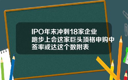 IPO年末冲刺18家企业跑步上会这家巨头顶格申购中签率或达这个数附表