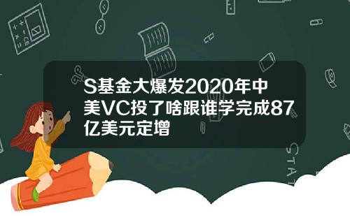S基金大爆发2020年中美VC投了啥跟谁学完成87亿美元定增