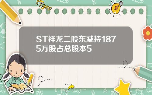 ST祥龙二股东减持1875万股占总股本5