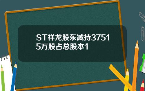 ST祥龙股东减持37515万股占总股本1