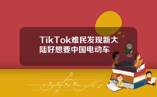TikTok难民发现新大陆好想要中国电动车